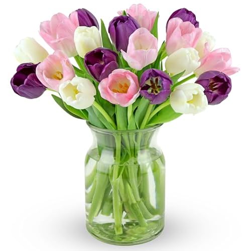 Benchmark Bouquets - White, Pink, Purple Tulips - Fresh Flowers for Delivery - Mothers Day Gifts for Wife - Birthday Flowers for Women - Teacher Appreciation Gifts - Glass Vase Included 20 Stems
