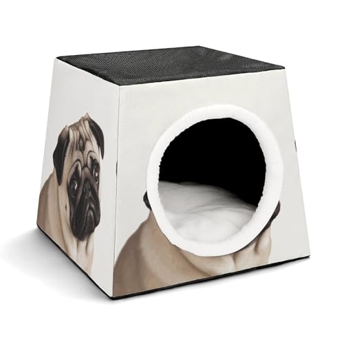 Cat House for Indoor Outdoor Cats Dogs Personalized Cat Cave Cute Lesure Pug Dog Printed Cat Beds Suitable for Small Sized Pets
