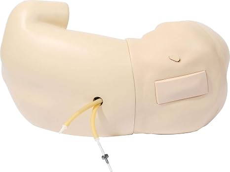 Anatomy Lab Adult Lumbar Puncture Simulator