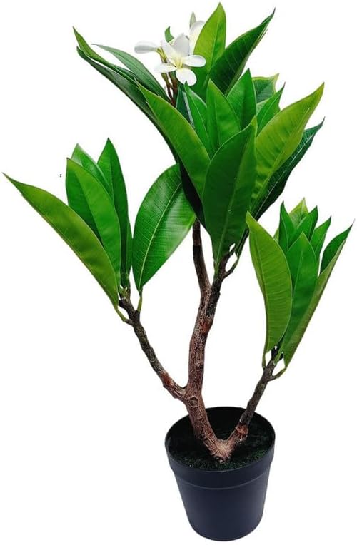 Unique Cream Fuchsia Artificial Plumeria Flower Tree Tropical Plant, 2.25 Ft