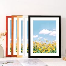 8x10 Picture Frame Set of 2, Photo Frame with HD Plexiglass, Black