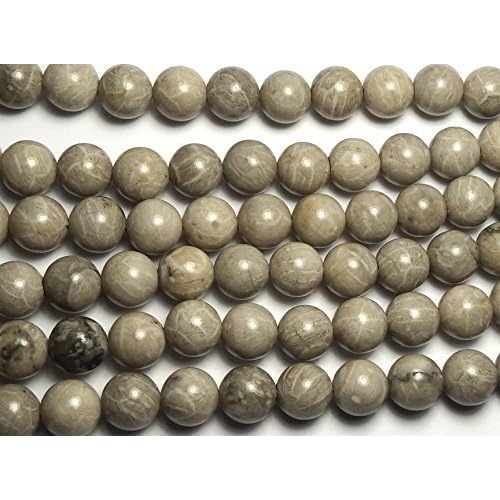 15 StrandPetoskey FOSSIL CORAL 10mm Round Beads NATURAL