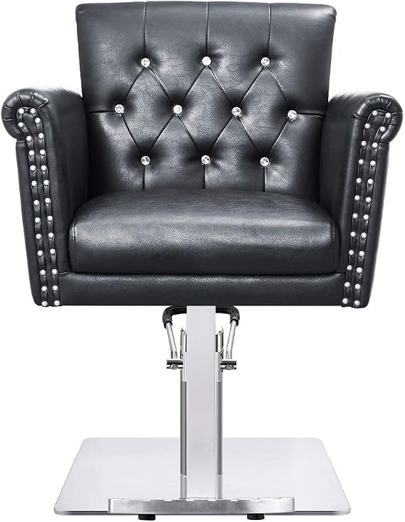 Dir Salon Styling Chair Beauty Hydraulic Salon Stylist Chair Lion