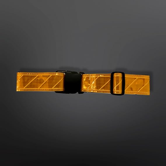Reflective Web Belt Gold