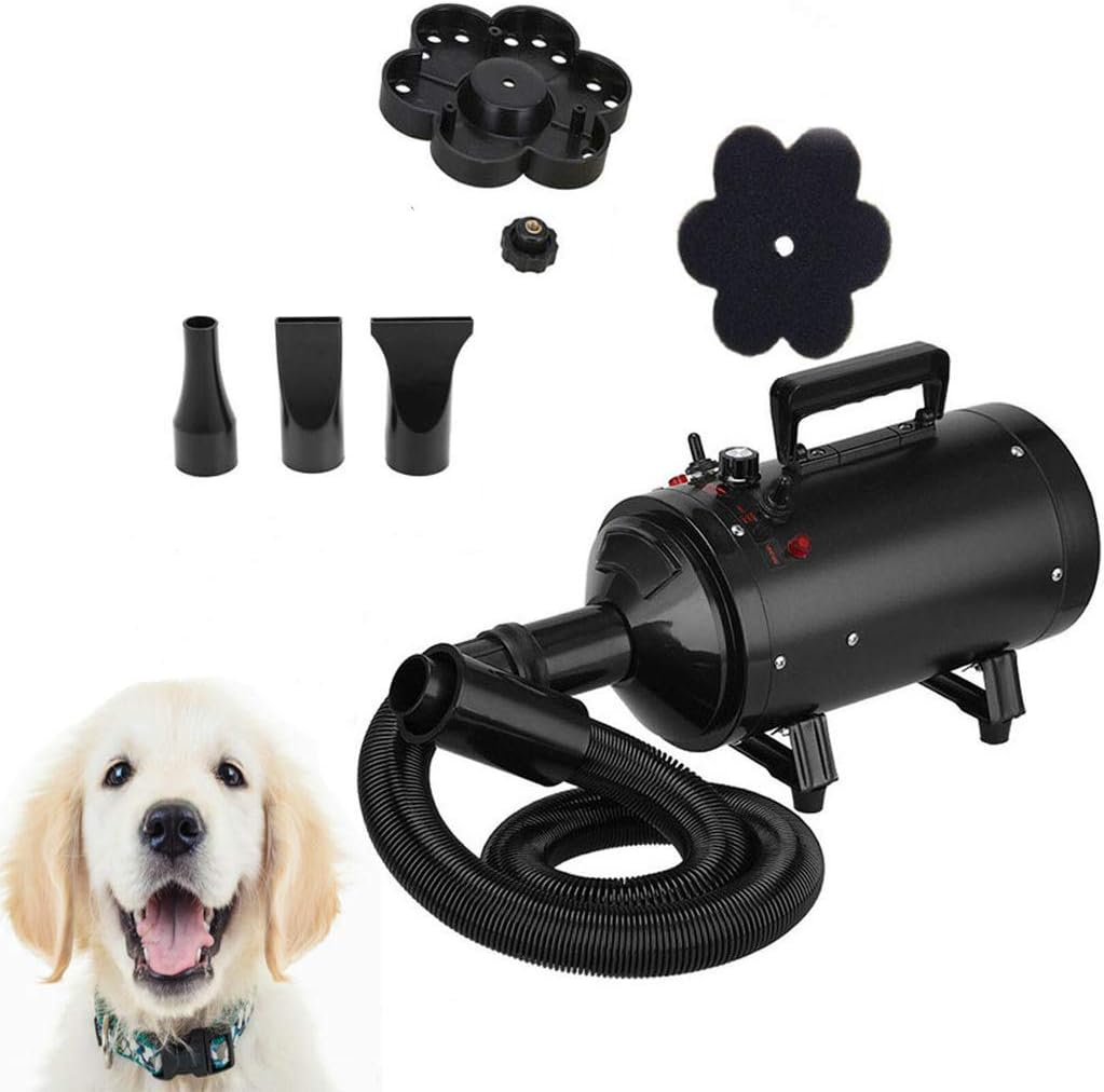 ZanGe Pet Dog Cat Motorcycle Auto Truck Dryer Snow Blower 2800W Variable High Speed Air Force Accessories Snow Storm Blower Machine-A Powerful but Quiet with Flexible Hose