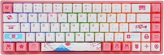 EPOMAKER 3068 68-Key Gateron Switch World Tour Tokyo Bluetooth Mechanical Keyboard with PBT Keycaps (Gateron Yellow Switch, 68 Keys)