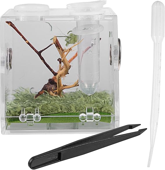 Alipis Reptile Breeding Box 2.04In Transparent Jumping Spider Terrarium with Dropper and Forceps Portable Enclosure for Small Crawling Insects Pet Habitat Case