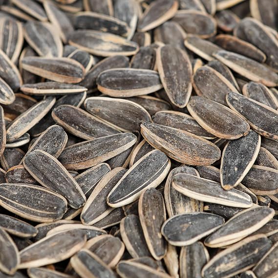 Smarty Stop Roasted Salted Sunflower Seeds In Shell (2 Pound (Pack of 1))