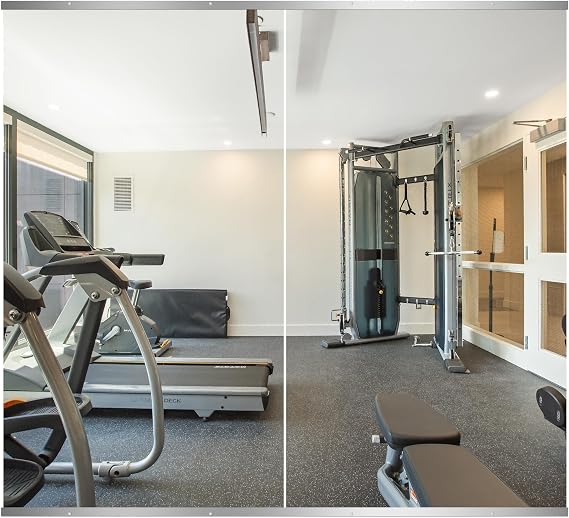 Delma Home Gym Mirror, 54''x30''x2PCS Silver