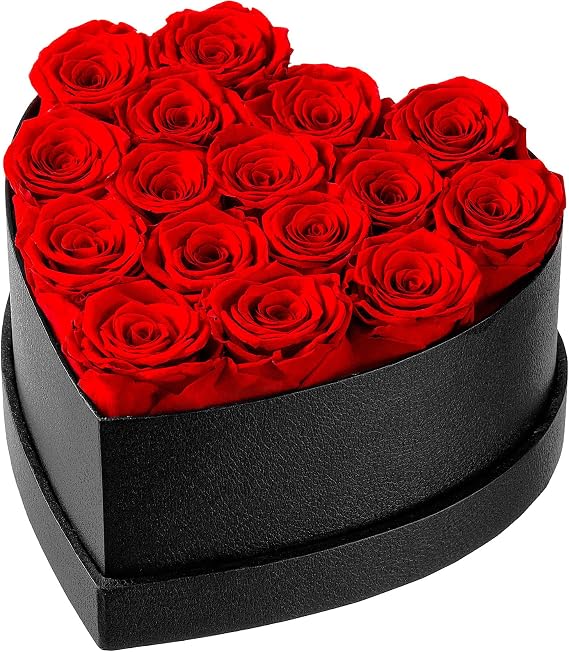 Eterfield Forever Flowers in a Heart Shaped Box Preserved Rose for Wife Mom Valentine's Day Mother's Day Gift Red Rose, Black Box