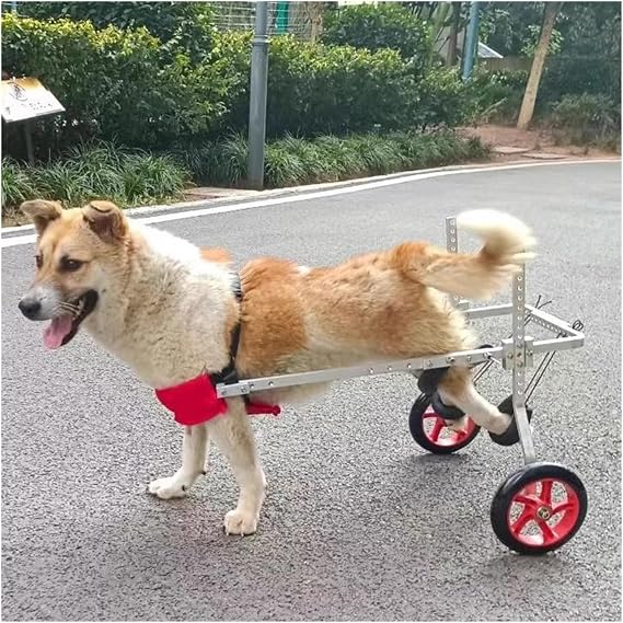 MObyat Adjustable Dog Cart/Wheelchair for Back Legs, Lightweight Pro Pet/Doggie Wheelchairs with Disabled Hind Legs Walking, for Small Medium Large Dogs (Size : Size1)