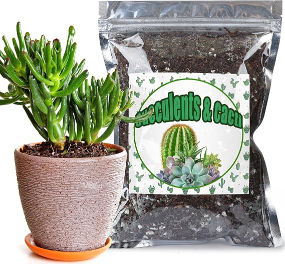 Doter Cactus & Succulent Soil Mix 4qt, Chunky Well-Draining Soil for Indoor Plants - Spike & Bloom
