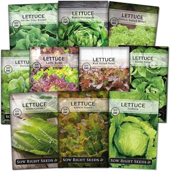 Sow Right Seeds - Large Lettuce Seed Collection for Planting Vegetables