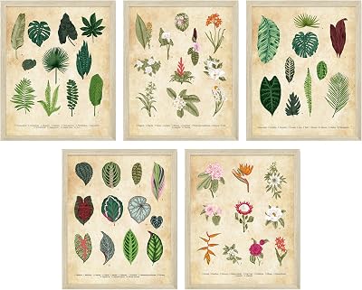 Exotic Botanical Prints - Set of Five 8x10in Jungle Botanical Wall Art Posters Floral Wall Art Room Decor - Plant Posters & Wildflower Prints, Vintage Botanical Prints - Unframed Plant Prints