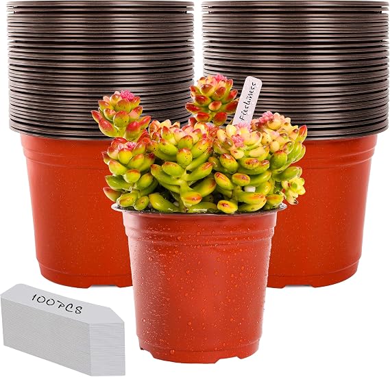 TDHDIKE 6" Plastic Plant Nursery Pots 100Pcs with 100 Labels